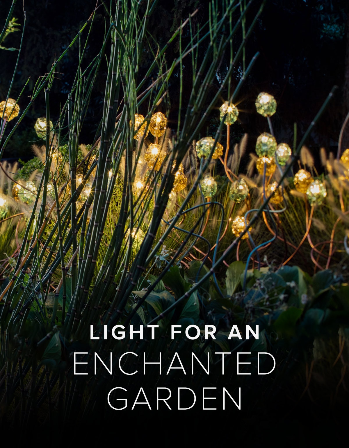 Lights for an Enchanted Garden